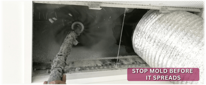 Air Duct Mold Removal in Jackson NJ