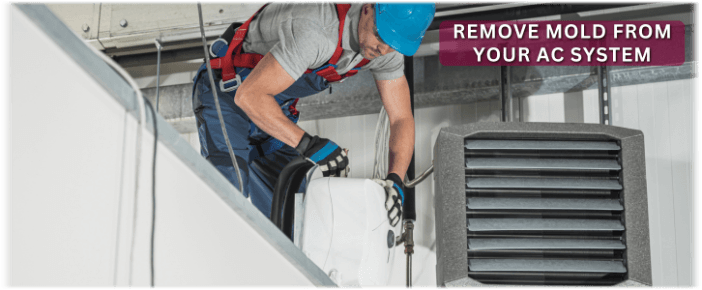 HVAC Mold Removal Jackson NJ